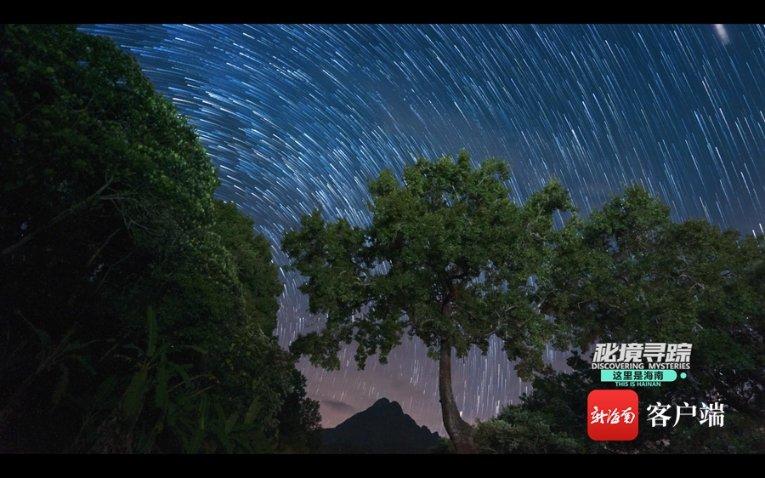 加入比熊好养吗,探索无尽知识星球