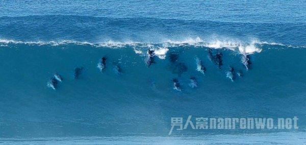 因和尚下山与村妇“玩耍”暴露身份，延安城内挖出特务机构